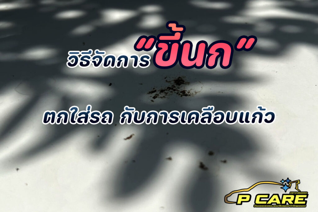 วิธีจัดการขี้นกตกใส่รถ กับการเคลือบแก้ว