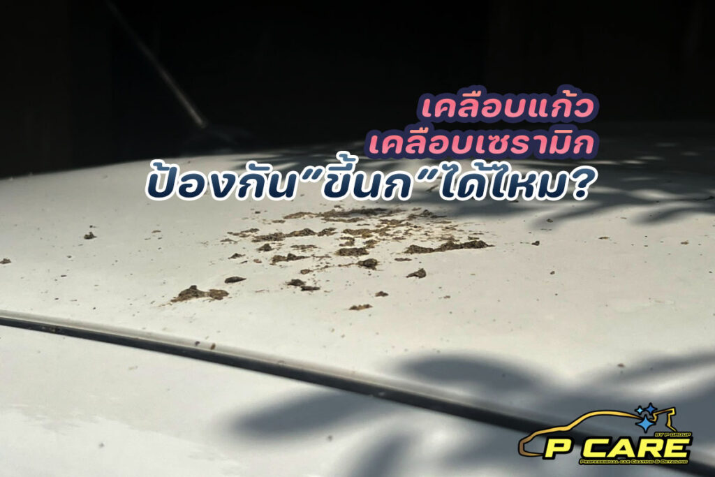 เคลือบแก้วป้องกันขี้นกได้ไหม?